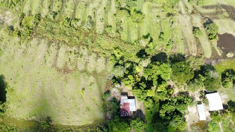 Vista a�rea de lo que ser�an el antiguo sistema de canales de la Mojana