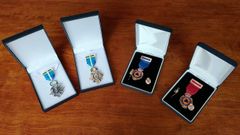Medallas de la Delegaci�n del Gobierno en Asturias