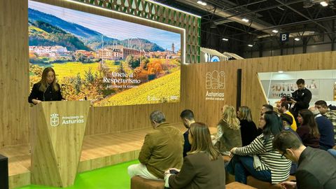 Tatiana Gonz�lez Salas, directora del �rea de Turismo de Turismo Asturias, durante la presentaci�n de la campa�a.