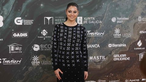 Alfombra dourada dos XXIV Premios Mestre Mateo celebrados en Lugo