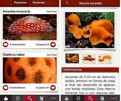 La aplicaci�n identifica la especie con fotos y nombre.