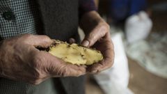 La couza guatemalteca es una polilla que pone sus larvas en el interior de la patata y la da�a