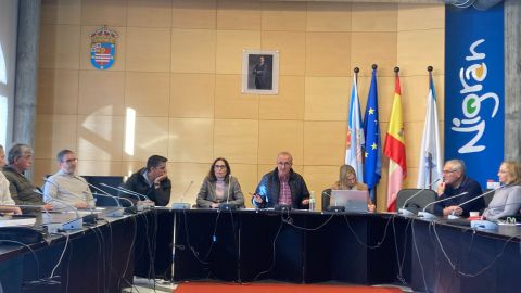 El pleno se celebr� ayer