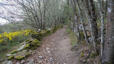 Otro tramo del camino