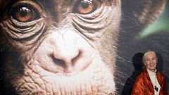 Jane Goodall durante la presentacin de la pelcula Chimpac en Pars