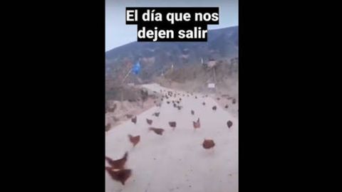 El día que nos dejen salir. El original es un video de la gran desbandada