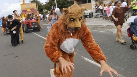 Ojo a las fieras de la Sabana Cobicheira