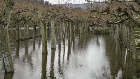 R�o Bubal crecido, a su paso por Vilaza (Monterrei)