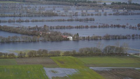Campos de cultivo de A Limia anegados el pasado d�a 12