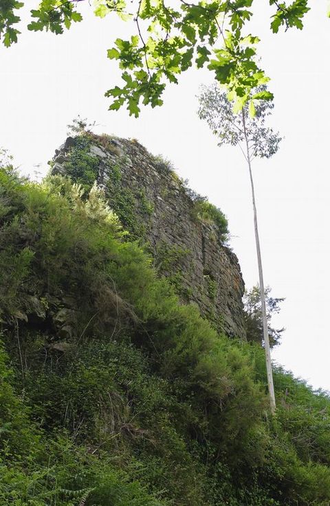 Restos del Castillo de Mesía entre la vegetación