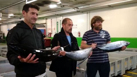 Armando Prendes, entre Juan Jos� Baranda y Fidel �lvarez, con los primeros bonitos llegados a Asturias 