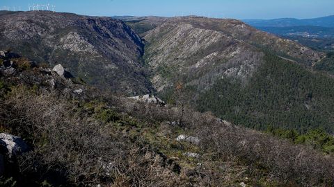 As est el monte de Barbanza un ao despus del gran incendio