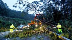 Herminia dej� un reguero de �rboles ca�dos por toda Galicia