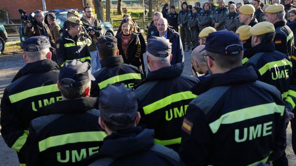 Catalu�a lleva meses haciendo batidas para tratar de contener el brote de peste porcina africana