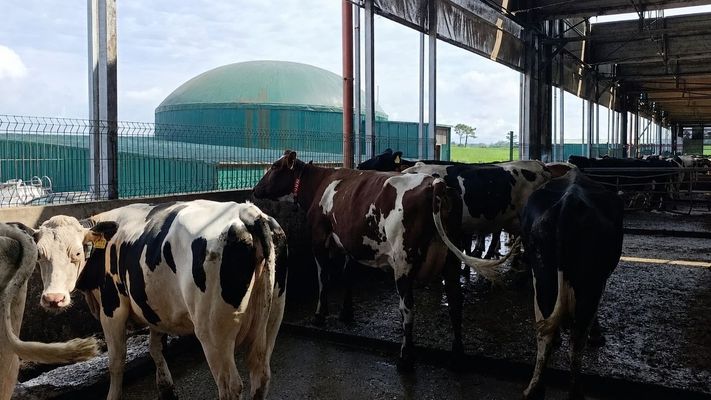 Al fondo se ve la planta de biog�s instalada en una granja l�ctea para la gesti�n de su propio pur�n y autoconsumo.