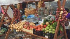 La cebolla, protagonista en Sanxenxo