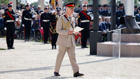 El rey Carlos III particip en los actos 