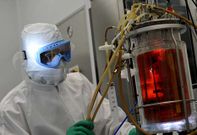 La gallega Biofabri dispone de un departamento de biotecnolog�a puntero en Europa.