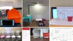 Im�genes de los experimentos que realizaron los alumnos en sus casas