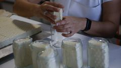 El tofu, hecho a partir de soja, es una alternativa a la carne