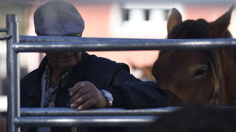 El tiempo acompa en la Feira de Santos de Gontn