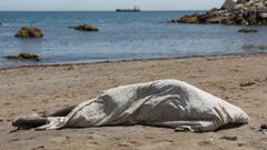 Un emigrante muerto en la playa al intentar llegar a Espa�a desde Marruecos