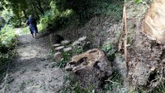 Sendero natural, un lujo a un paso de la Catedral