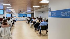 Cubiella durante la presentaci�n del plan director de investigaci�n.