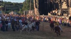 Carrera de burros de la Pa�eda