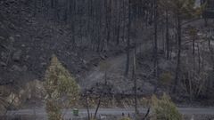El GDR Pontevcedra Morrazo�lanza una campa�a de concienciaci�n sobre como el paisaje puede ayudar a prevenir los incendios forestales