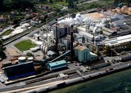 El Concello insisti� ayer en �<span lang= gl >a inaxeitada ubicaci�n</span>� de la pastera pontevedresa.