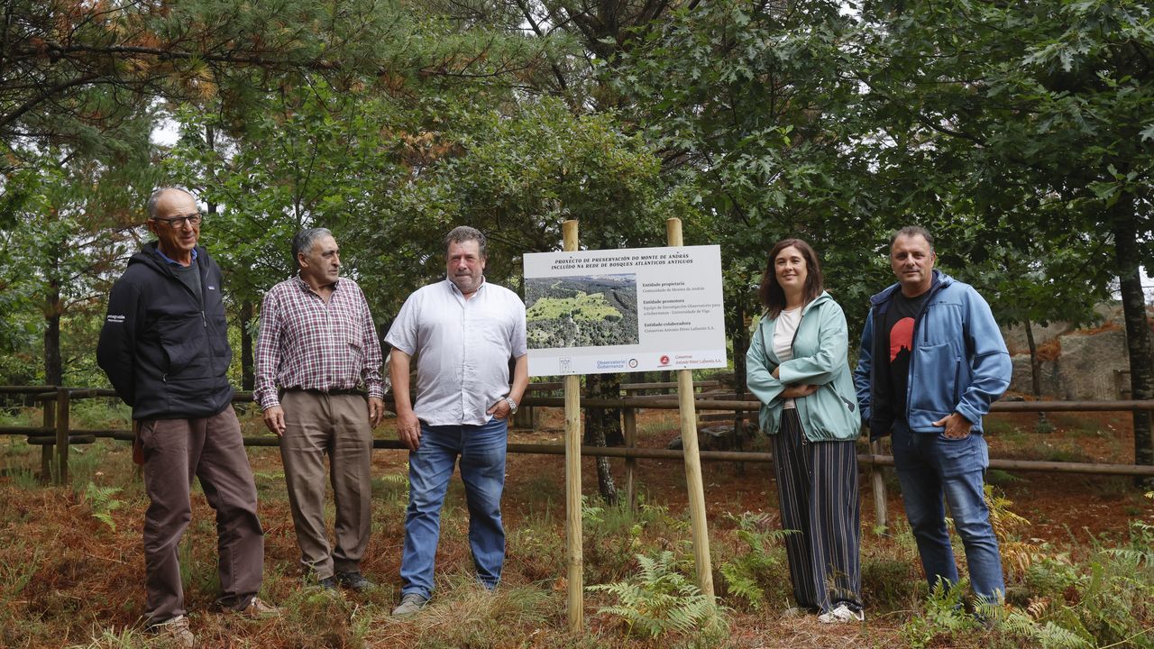 La renaturalización del bosque atlántico sigue su firme curso en O Salnés