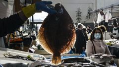 Mientras los pescadores europeos se reivindican como �campeones de la pesca sostenible�, seis cocineros dicen que no siempre es posible garantizarlo en todos los mariscos y pescados, aunque este en una plaza gallega es un ejemplo de lo contrario