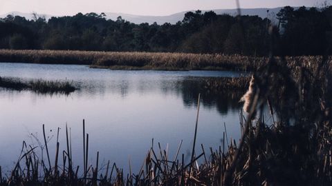Imagen de archivo de la charca de Abanqueiro