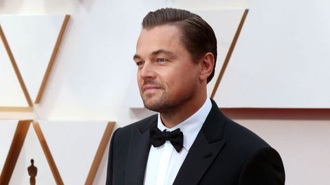 Leonardo DiCaprio 