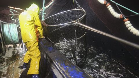 Foto de archivo de un cerquero gallego pescando sardina