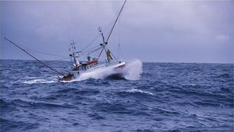 Un bonitero espa�ol faenando a la cacea o curric�n (imagen de archivo)