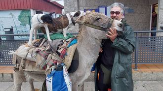 Celso Gonzlez, con su burro y sus perros, ayer en Ribadeo