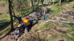 Imagen de archivo del taller de empleo sobre gesti�n forestal en Boiro.
