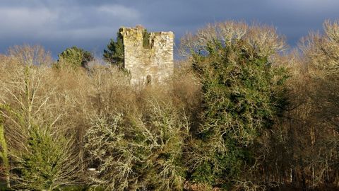 Torre de Caldaloba, en un bosque de Cospeito, esperando por una reforma