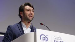 El diputado en la Junta General del Principado, Andrs Ruiz,