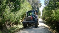 Trabajos de desbroce en la Va Verde