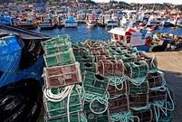 Los barcos de Bueu sopesan quedarse en tierra si Mar mantiene que tengan que traer a puerto cada d�a las nasas del pulpo.