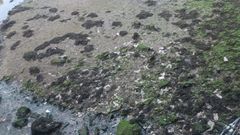 Foto de los vertidos con la que la plataforma de Veci�os de Esteiro denuncia los vertidos.