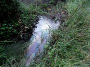 El gasoil termin� en la r�a de Pontevedra.