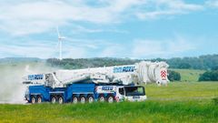 Una gr�a de El Roxu