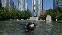 Ola de calor en Canad�