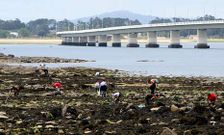 Tras el enfrentamiento con los mariscadores, las mujeres siguieron faenando a los pies del puente.