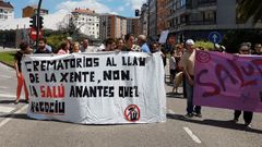 Manifestaci�n de la plataforma contra los hornos crematorios en Pola de Siero.Manifestaci�n de la plataforma contra los hornos crematorios en Pola de Siero