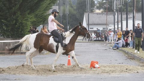 Feira do Cabalo en Castro